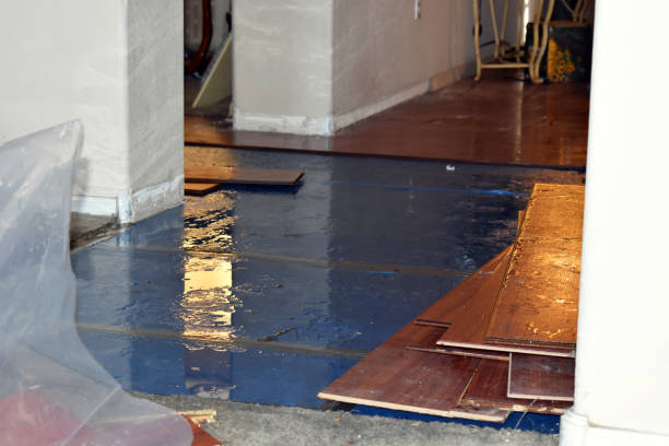 Professional Basement Flood Cleanup technician working in Neosho, MO